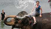 Chitwan National Park
