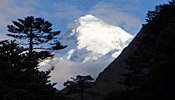 Chomolhari Trek