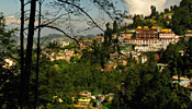 Darjeeling Tour