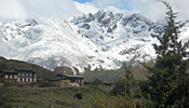 Beautiful Laya Gasa Trek