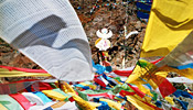 Kailash Pilgrimage and Lhasa Tour