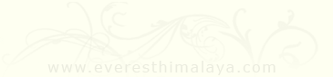 www.everesthimalaya.com